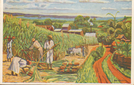 Germaine Casse, Rade de la Pointe-à-Pitre, 1922.