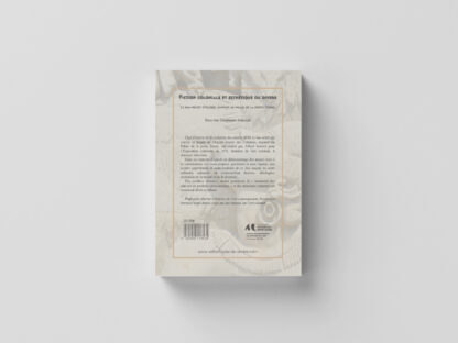 Fiction coloniale et esthétiques du divers – Image 2
